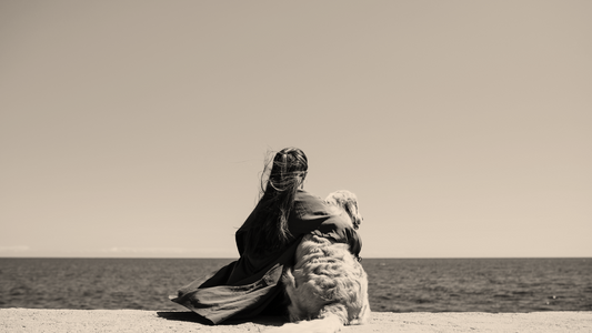 ¿Por qué suplementar a nuestros perros?