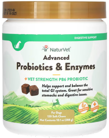 Probióticos y Enzimas Avanzadas, más PB6. 120 Masticables Suaves